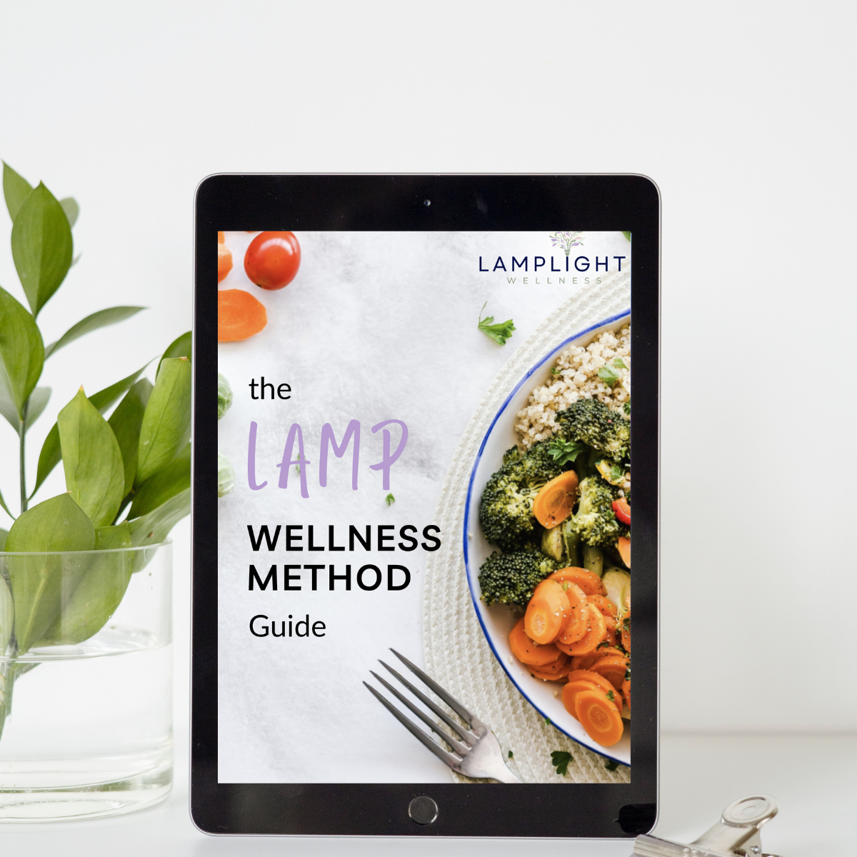 The LAMP Wellness Method